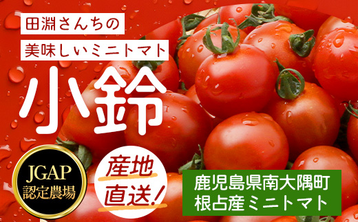 田淵さんちの美味しい ミニトマト 小鈴（約1kg）GP-708｜野菜 トマト ミニトマト 産地直送 ミニトマト 新鮮 トマト 南大隅町産 ミニトマト おいしい ミニトマト