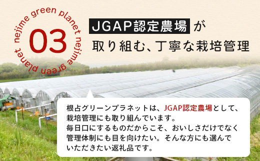 田淵さんちの美味しい ミニトマト 小鈴（約1kg）GP-708｜野菜 トマト ミニトマト 産地直送 ミニトマト 新鮮 トマト 南大隅町産 ミニトマト おいしい ミニトマト