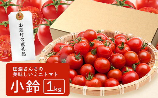 田淵さんちの美味しい ミニトマト 小鈴（約1kg）GP-708｜野菜 トマト ミニトマト 産地直送 ミニトマト 新鮮 トマト 南大隅町産 ミニトマト おいしい ミニトマト