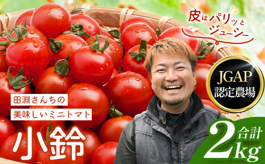 田淵さんちの美味しいミニトマト 小鈴約2kg（1.0kg×2箱） GP-709| 野菜 トマト ミニトマト 産地直送 ミニトマト 新鮮 トマト 南大隅町産 ミニトマト おいしい ミニトマト