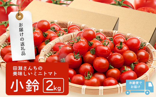 田淵さんちの美味しいミニトマト 小鈴約2kg（1.0kg×2箱） GP-709| 野菜 トマト ミニトマト 産地直送 ミニトマト 新鮮 トマト 南大隅町産 ミニトマト おいしい ミニトマト