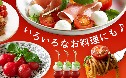 《期間限定》田淵さんちの美味しい ミニトマト シュガープラム（約700g）GP-1｜鹿児島県 南大隅 産地直送 旬 とまと トマト ミニトマト リコピン 完熟 甘い 高糖度 野菜 やさい 送料無料