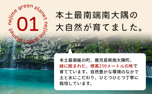 《期間限定》田淵さんちの美味しい ミニトマト シュガープラム（約700g）GP-1｜鹿児島県 南大隅 産地直送 旬 とまと トマト ミニトマト リコピン 完熟 甘い 高糖度 野菜 やさい 送料無料