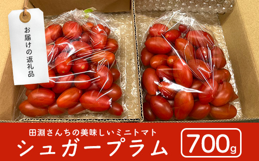 《期間限定》田淵さんちの美味しい ミニトマト シュガープラム（約700g）GP-1｜鹿児島県 南大隅 産地直送 旬 とまと トマト ミニトマト リコピン 完熟 甘い 高糖度 野菜 やさい 送料無料