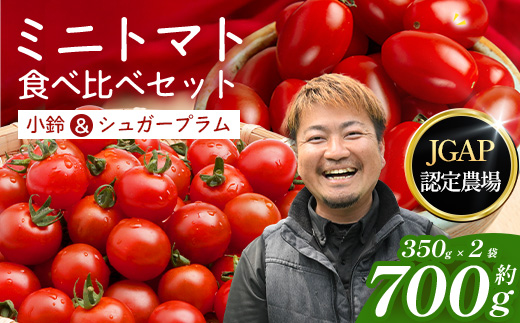 [数量限定]ミニトマト２種食べ比べセット(350g×２種) GP-3｜ミニトマト 野菜 やさい 食品 人気 おすすめ 美味しい 産地直送 小鈴 シュガープラム 食べ比べ セット