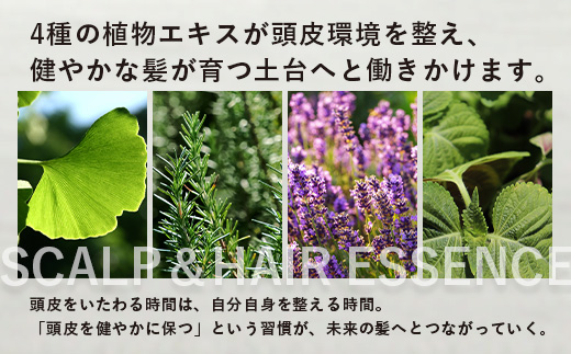 SCALPïŒHAIR ESSENCE ã©ã€ãã€ã³ãã«ãŒã ïŒæ¬ã»ããïŒ 50mlïŒ200mlïŒVW-3ïœã¹ã«ã«ã ã㢠ã±ã¢ é ç® é«ª ãšãã»ã³ã¹ æ€ç© ãšãã¹ å€©ç¶ ç²Ÿæ²¹ ããŒã¿ãã« ãªãã¬ãã·ã¥ 蟺å¡ã ãã ã ãã㪠ãããã ãããŒã©ã« 鹿å
å³¶ç å倧é
çº Kruhi Valley and Wind