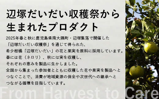 SCALPïŒHAIR ESSENCE ã©ã€ãã€ã³ãã«ãŒã ïŒæ¬ã»ããïŒ 50mlïŒ200mlïŒVW-3ïœã¹ã«ã«ã ã㢠ã±ã¢ é ç® é«ª ãšãã»ã³ã¹ æ€ç© ãšãã¹ å€©ç¶ ç²Ÿæ²¹ ããŒã¿ãã« ãªãã¬ãã·ã¥ 蟺å¡ã ãã ã ãã㪠ãããã ãããŒã©ã« 鹿å
å³¶ç å倧é
çº Kruhi Valley and Wind