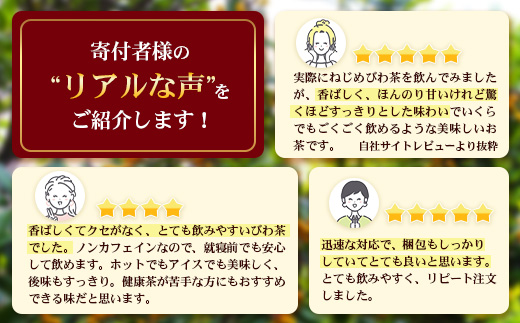 【 お試し 2種セット】鹿児島県産 ねじめびわ茶 ティーバック10包入・ボトル缶 3本 TO-521 |国産 お茶 健康茶 カロリーゼロ 缶 茶葉 持ち運び 無香料 無着色 ポリフェノール ノンカフェイン さわやか 甘み 香ばしい おいしい びわの葉 産地直送 鹿児島県 南大隅町 十津川農場