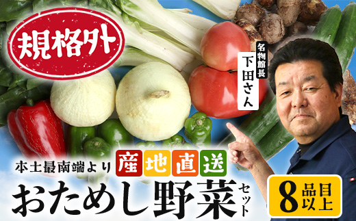 【規格外】本土最南端から 旬のお試し 野菜セット 8品目以上 NI-2 ｜ 旬 野菜 やさい 果物 くだもの 産地直送 農産物 冷蔵 鹿児島県 南大隅町産 詰合せ おまかせ 家庭用 訳あり なんたん市場