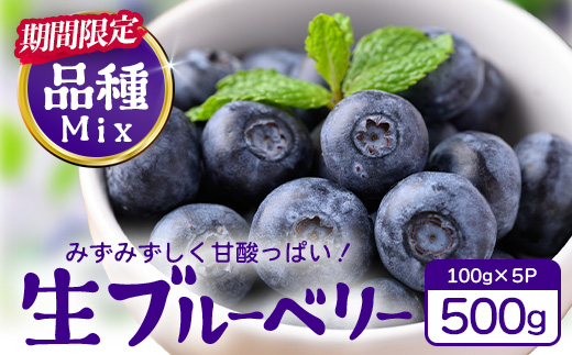 【期間限定】南大隅産 (生)ブルーベリー 品種ミックス詰め合わせ ≪100g×5P≫ BB-1 ｜ 鹿児島県 南大隅町 旬 産地直送 果物 ブルーベリー フルーツ くだもの 新鮮 農園 冷蔵 本土最南端