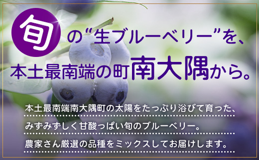 【期間限定】南大隅産 (生)ブルーベリー 品種ミックス詰め合わせ ≪100g×5P≫ BB-1 ｜ 鹿児島県 南大隅町 旬 産地直送 果物 ブルーベリー フルーツ くだもの 新鮮 農園 冷蔵 本土最南端
