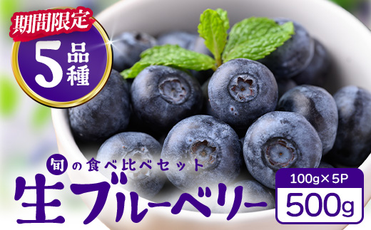 【期間限定】南大隅産 (生) ブルーベリー 食べ比べセット (5品種を1パックずつ) 100g×5P BB-2｜鹿児島県 南大隅町 旬 産地直送 果物 フルーツ くだもの 新鮮 農園 冷蔵 本土最南端