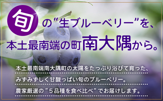 【期間限定】南大隅産 (生) ブルーベリー 食べ比べセット (5品種を1パックずつ) 100g×5P BB-2｜鹿児島県 南大隅町 旬 産地直送 果物 フルーツ くだもの 新鮮 農園 冷蔵 本土最南端