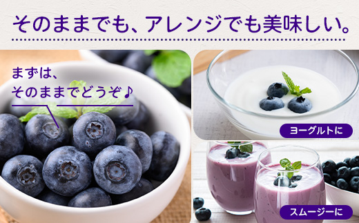 【期間限定】南大隅産 (生) ブルーベリー 食べ比べセット (5品種を1パックずつ) 100g×5P BB-2｜鹿児島県 南大隅町 旬 産地直送 果物 フルーツ くだもの 新鮮 農園 冷蔵 本土最南端