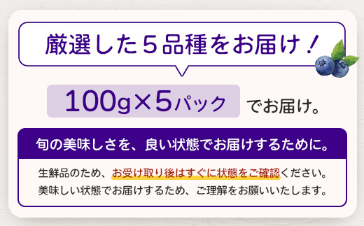 【期間限定】南大隅産 (生) ブルーベリー 食べ比べセット (5品種を1パックずつ) 100g×5P BB-2｜鹿児島県 南大隅町 旬 産地直送 果物 フルーツ くだもの 新鮮 農園 冷蔵 本土最南端