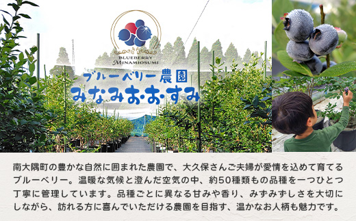 【期間限定】南大隅産 (生) ブルーベリー 食べ比べセット (5品種を1パックずつ) 100g×5P BB-2｜鹿児島県 南大隅町 旬 産地直送 果物 フルーツ くだもの 新鮮 農園 冷蔵 本土最南端