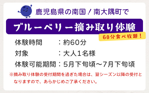 鹿児島県の南国！南大隅町の農園で、ブルーベリー摘み取り体験♪ ブルーベリー摘み取り体験チケット （60分食べ放題） ≪大人1名様分≫ BO-3｜鹿児島県 南大隅町 農園 収穫体験 果物 ブルーベリー チケット 体験 本土最南端