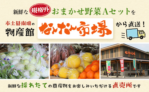 【定期便全6回】【規格外】本土最南端から 旬のおまかせ野菜セットA 10品目以上 NI-5 ｜ 旬 野菜 やさい 果物 くだもの 産地直送 農産物 冷蔵 鹿児島県 南大隅町産 詰合せ おまかせ 家庭用 訳あり なんたん市場