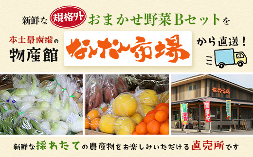 【定期便全6回】【規格外】本土最南端から 旬のおまかせ野菜セットB 12品目以上 NI-8 ｜ 旬 野菜 やさい 果物 くだもの 産地直送 農産物 冷蔵 鹿児島県 南大隅町産 詰合せ おまかせ 家庭用 訳あり なんたん市場