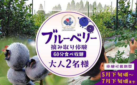 鹿児島県の南国！南大隅町の農園で、ブルーベリー摘み取り体験♪ ブルーベリー摘み取り体験チケット （60分食べ放題） ≪大人2名様分≫ BO-4｜鹿児島県 南大隅町 農園 収穫体験 果物 ブルーベリー チケット 体験 本土最南端