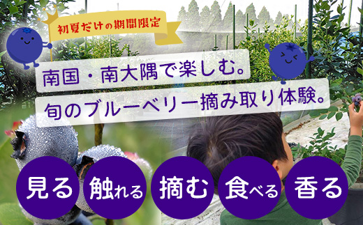 鹿児島県の南国！南大隅町の農園で、ブルーベリー摘み取り体験♪ ブルーベリー摘み取り体験チケット （60分食べ放題） ≪大人2名様分≫ BO-4｜鹿児島県 南大隅町 農園 収穫体験 果物 ブルーベリー チケット 体験 本土最南端