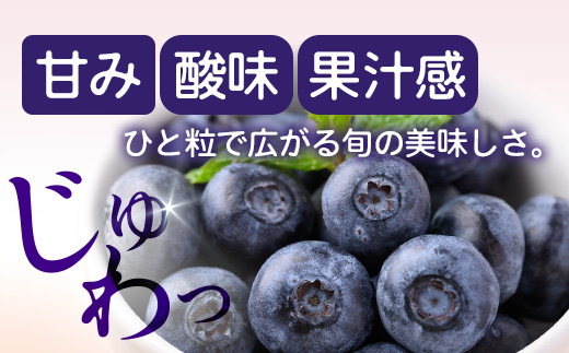 鹿児島県の南国！南大隅町の農園で、ブルーベリー摘み取り体験♪ ブルーベリー摘み取り体験チケット （60分食べ放題） ≪大人2名様分≫ BO-4｜鹿児島県 南大隅町 農園 収穫体験 果物 ブルーベリー チケット 体験 本土最南端