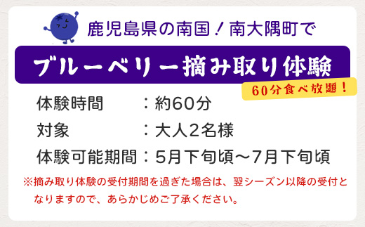 鹿児島県の南国！南大隅町の農園で、ブルーベリー摘み取り体験♪ ブルーベリー摘み取り体験チケット （60分食べ放題） ≪大人2名様分≫ BO-4｜鹿児島県 南大隅町 農園 収穫体験 果物 ブルーベリー チケット 体験 本土最南端