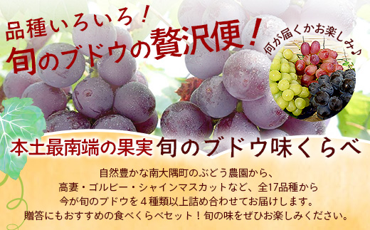 【期間限定!数量限定!】2026年7月下旬発送 旬のブドウ味くらべ約3kg (6～7房) TE710｜産地直送 旬 ブドウ 葡萄 ぶどう フルーツ 果物 くだもの 果実 食べ比べ 鹿児島県 南大隅町 有限会社ティエラ　