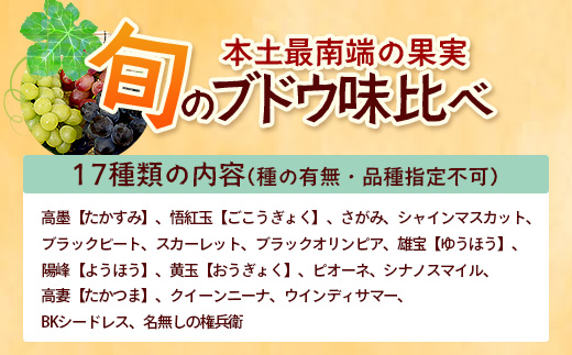 【期間限定!数量限定!】2026年7月下旬発送 旬のブドウ味くらべ約3kg (6～7房) TE710｜産地直送 旬 ブドウ 葡萄 ぶどう フルーツ 果物 くだもの 果実 食べ比べ 鹿児島県 南大隅町 有限会社ティエラ　