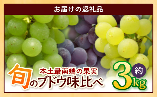 【期間限定!数量限定!】2026年7月下旬発送 旬のブドウ味くらべ約3kg (6～7房) TE710｜産地直送 旬 ブドウ 葡萄 ぶどう フルーツ 果物 くだもの 果実 食べ比べ 鹿児島県 南大隅町 有限会社ティエラ　