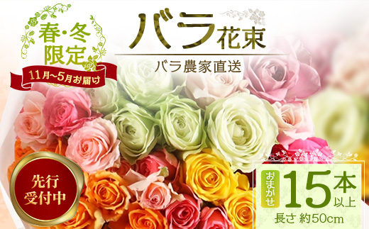 ※先行予約※【日付指定必須・ギフト対応可】ばら農家直送！ バラ花束15本以上(色はおまかせ) TB-12│ローズ 新鮮 花 フラワー 花束 ばら 薔薇 バラ 誕生日 記念日 結婚祝い ギフト プレゼント お祝い 贈り物 贈答 鹿児島県 南大隅町 富田バラ園 