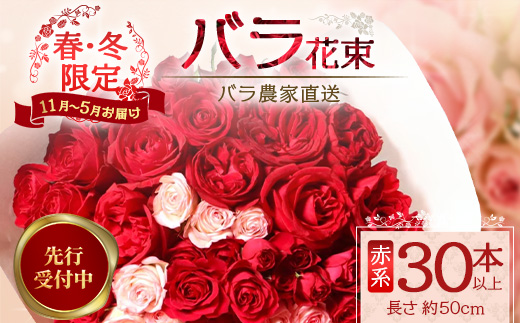 ※先行予約※【日付指定必須・ギフト対応可】ばら農家直送！人気の春・冬薔薇をお届け♪バラ花束30本以上(赤系) TB-13│ローズ 新鮮 花 フラワー 花束 ばら 薔薇 バラ 誕生日 記念日 結婚祝い ギフト プレゼント お祝い 贈り物 贈答 鹿児島県 南大隅町 富田バラ園