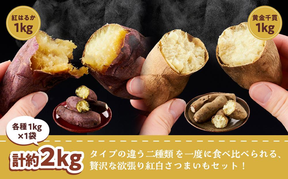 【ご家庭用】冷凍 やきいも 『紅はるか & 黄金千貫 欲張り紅白セット』(各種 約1kg × 1袋　合計 約2kg )