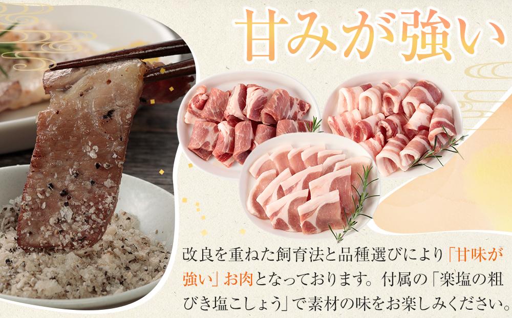 ひかり麦豚 焼肉セット 600g（ 300g×2パック ）＋ 楽塩の粗びき塩こしょう