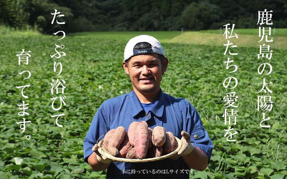 【鹿児島県産】熟成 紅はるか 5kg (1箱 ) Lサイズ さつまいも