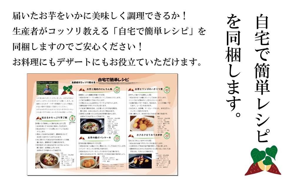 訳あり さつまいも 紅はるか 堀りたて 10kg (1箱 ) 新物 鹿児島県産 2024年12月末までに出荷