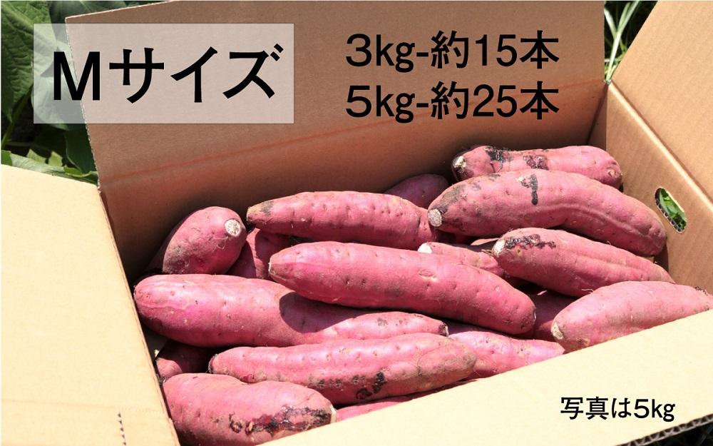 【鹿児島県産】熟成 紅はるか 3kg (1箱 ) Mサイズ さつまいも