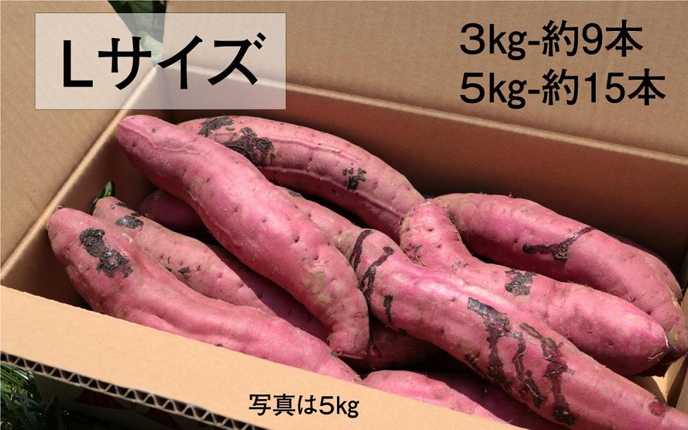 【鹿児島県産】熟成 紅はるか 5kg (1箱 ) Lサイズ さつまいも