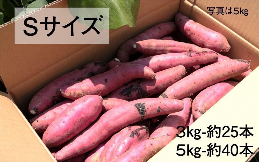 さつまいも 紅はるか 堀りたて 3kg ( 1箱 ) Sサイズ 新物 鹿児島県産 2024年12月末までに出荷