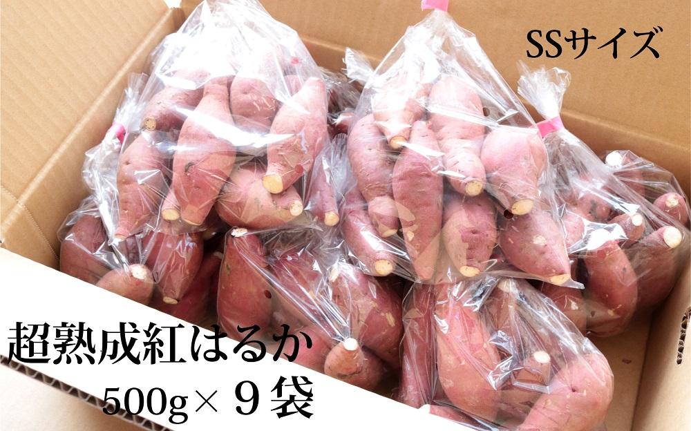 さつまいも 熟成 紅はるか 4.5kg ( 500g × 9袋 ) SSサイズ 鹿児島県産 先行予約 2025年1月より順次発送