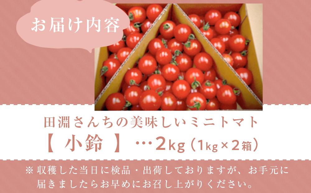 田淵さんちの美味しいミニトマト小鈴 2kg（1.0kg×2箱）