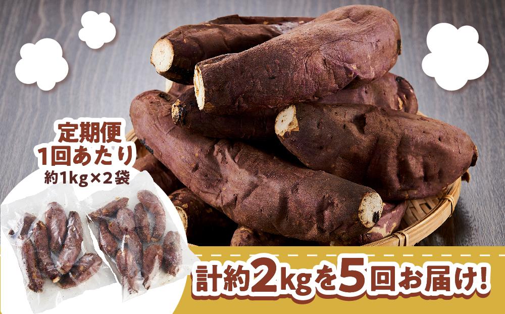 【定期便全5回】本土最南端紅はるか 冷凍 やきいも 定期便 2kg ( 1kg×2袋 )×5回 合計10kg