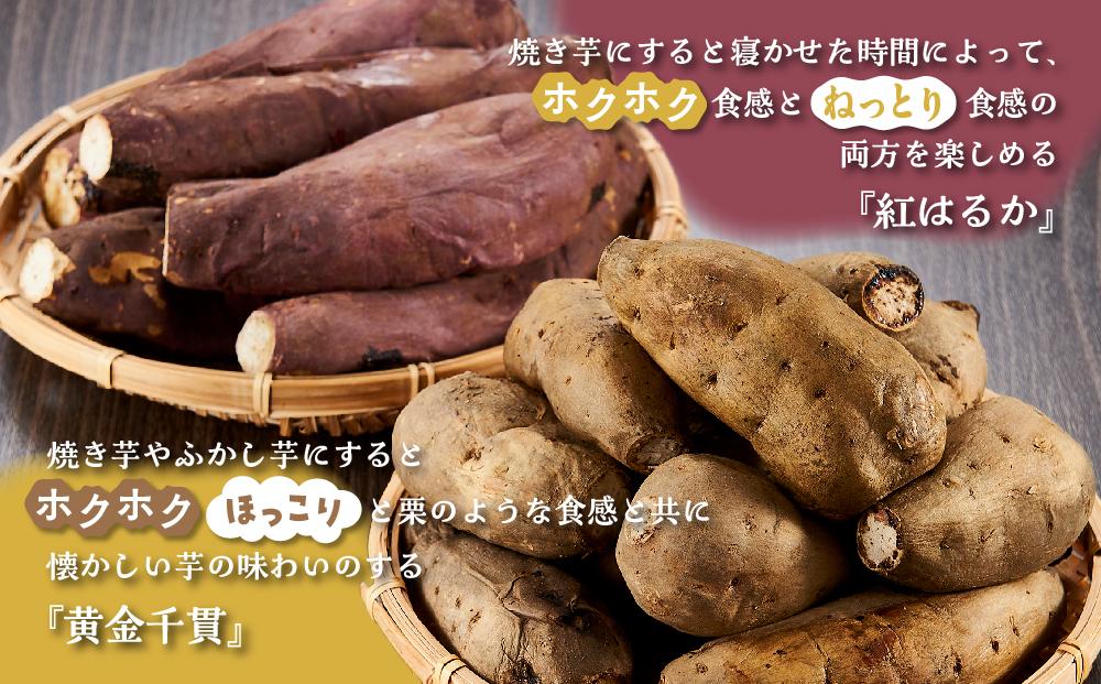 【ご家庭用】冷凍 やきいも 『紅はるか & 黄金千貫 欲張り紅白セット』(各種 約1kg × 1袋　合計 約2kg )