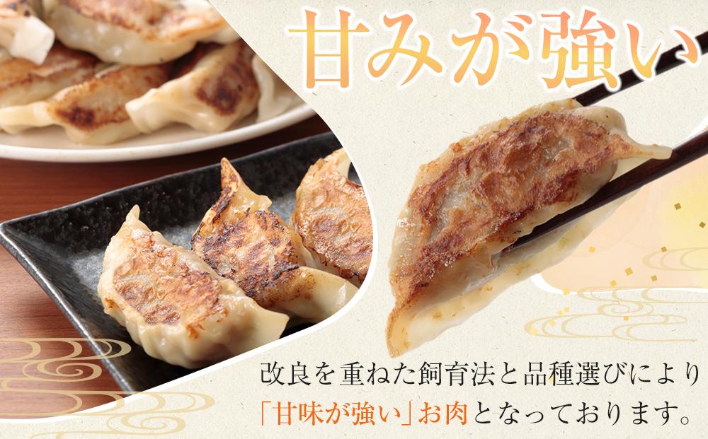 ひかり麦豚　ちょっと大きな 餃子 42個 セット