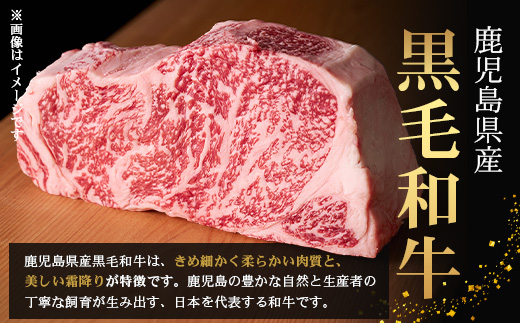 鹿å
å³¶çç£ é»æ¯åç âªçâ« å飿çäººã®æäœã ãã³ããŒã° ïŒ100gÃ6åïŒGN-3ïœé¹¿å
å³¶ç å倧é
çº ãã³ããŒã° çè æäœã éã·ã£ãªäžã¯ã