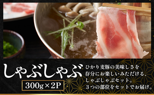 【ふるさと納税】鹿児島県産 ひかり麦豚【しゃぶしゃぶ 食べ比べ + とんかつ肉 + ハンバーグ】セット ≪合計1.1kg≫ HM-702  | 肉 お肉 にく 豚肉 ロース 肩ロース バラ肉 スライス 冷凍 産地直送 新鮮 送料無料 鹿児島県 南大隅町