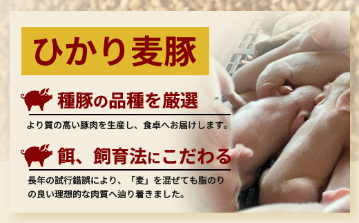 鹿å
å³¶çç£ ã²ããéºŠè± ããã¶ããã¶ çŒè ã»ãã (300gÃ3ããã¯) âªèš900gâ« ïŒ æ¥œå¡©ã®ç²ã³ãå¡©ãããã HM-704 | è ãè ã«ã è±è ããŒã¹ è©ããŒã¹ ãã©è ã¹ã©ã€ã¹ ç²æœã å¡©ã³ã·ã§ãŠ å·å ç空å·å ç£å°çŽé æ°é®® å°åã ç㿠鹿å
å³¶ç å倧é
çº ã²ãã麊è±çŽå£²æ
