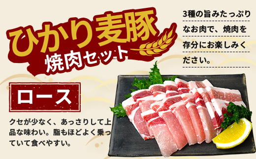 鹿å
å³¶çç£ ã²ããéºŠè± ããã¶ããã¶ çŒè ã»ãã (300gÃ3ããã¯) âªèš900gâ« ïŒ æ¥œå¡©ã®ç²ã³ãå¡©ãããã HM-704 | è ãè ã«ã è±è ããŒã¹ è©ããŒã¹ ãã©è ã¹ã©ã€ã¹ ç²æœã å¡©ã³ã·ã§ãŠ å·å ç空å·å ç£å°çŽé æ°é®® å°åã ç㿠鹿å
å³¶ç å倧é
çº ã²ãã麊è±çŽå£²æ