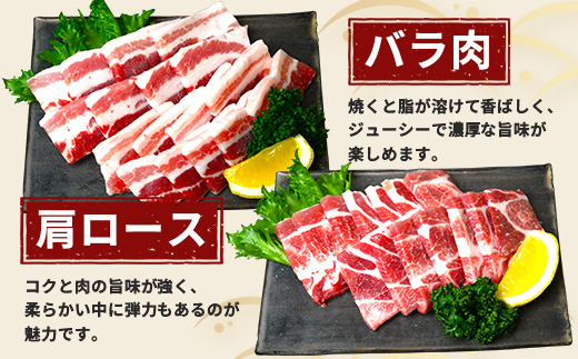鹿å
å³¶çç£ ã²ããéºŠè± ããã¶ããã¶ çŒè ã»ãã (300gÃ3ããã¯) âªèš900gâ« ïŒ æ¥œå¡©ã®ç²ã³ãå¡©ãããã HM-704 | è ãè ã«ã è±è ããŒã¹ è©ããŒã¹ ãã©è ã¹ã©ã€ã¹ ç²æœã å¡©ã³ã·ã§ãŠ å·å ç空å·å ç£å°çŽé æ°é®® å°åã ç㿠鹿å
å³¶ç å倧é
çº ã²ãã麊è±çŽå£²æ