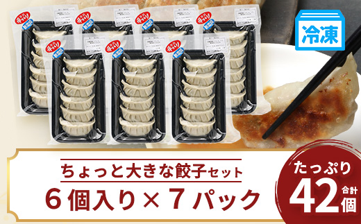 鹿児島県産 ひかり麦豚 ＼＼ちょっと大きな  餃子 42個セット／／ HM-707 | ぎょうざ ギョウザ 食べ応え抜群 焼き餃子 水餃子 おかず お弁当 冷凍 産地直送 鹿児島県 南大隅町 ひかり麦豚直売所